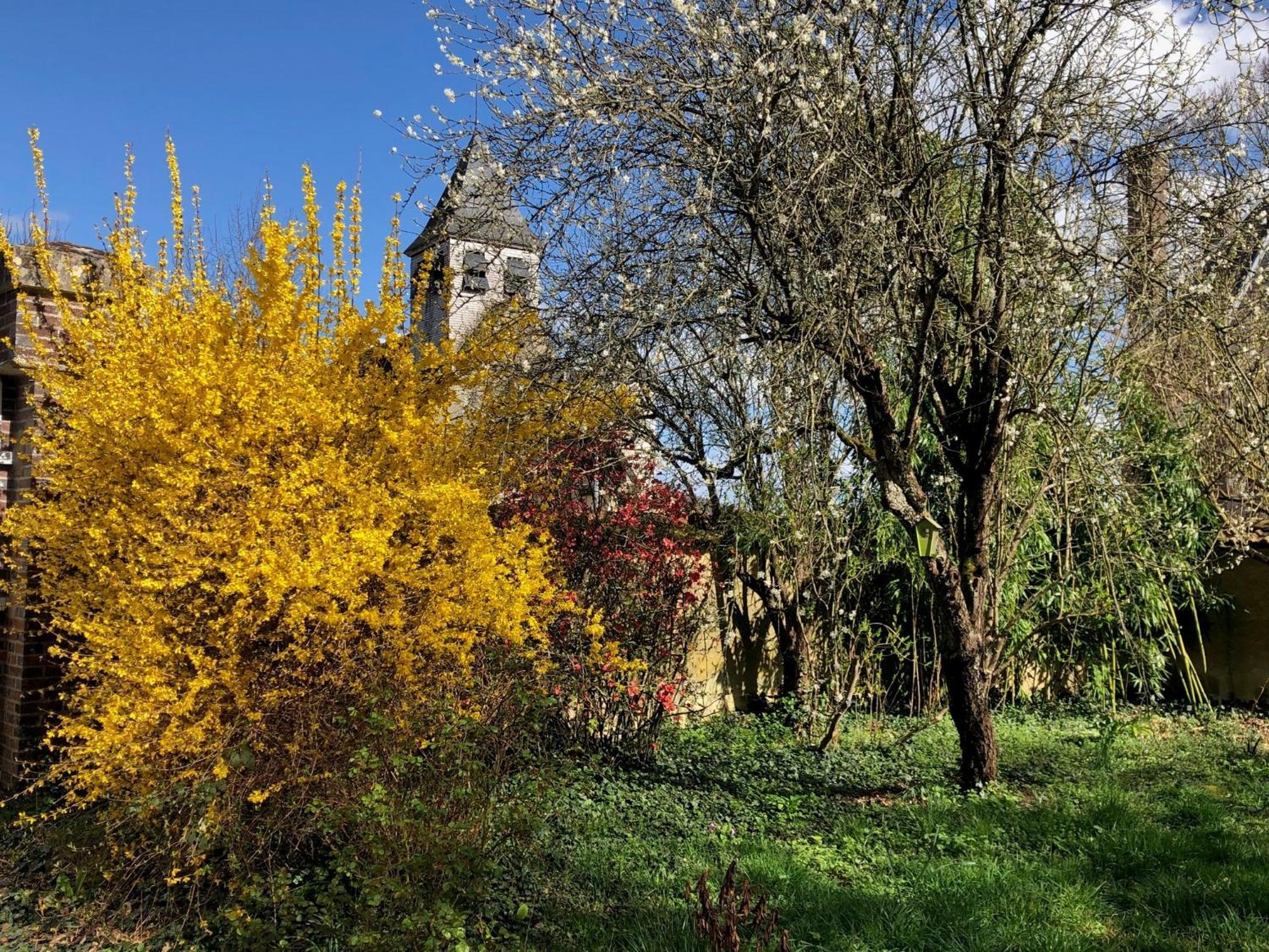 לינה וארוחת בוקר Sormery La Demeure D'Othe מראה חיצוני תמונה